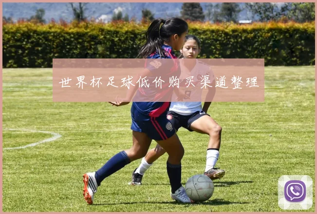 世界杯足球低价购买渠道整理