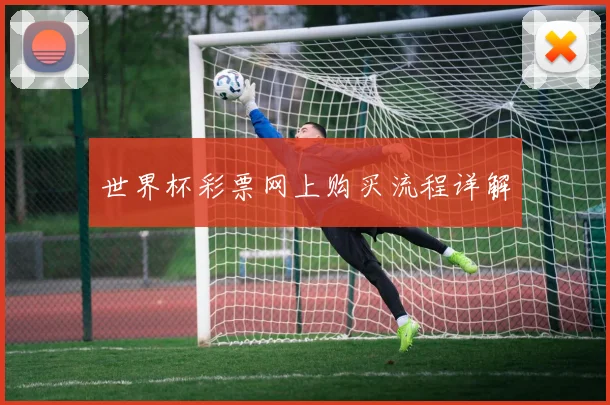世界杯彩票网上购买流程详解