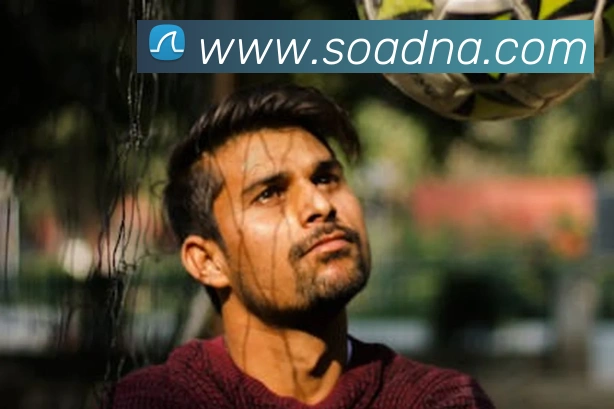 世界杯平台官网登录平台生态图